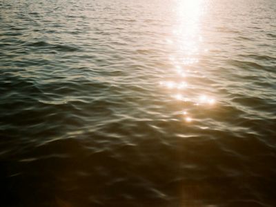 A calm training environment with soft, ambient lighting.