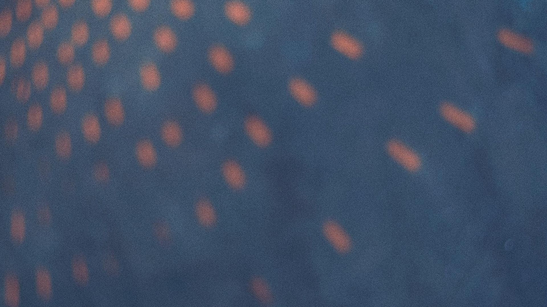 Abstract dark background with subtle light flares suggesting focus.